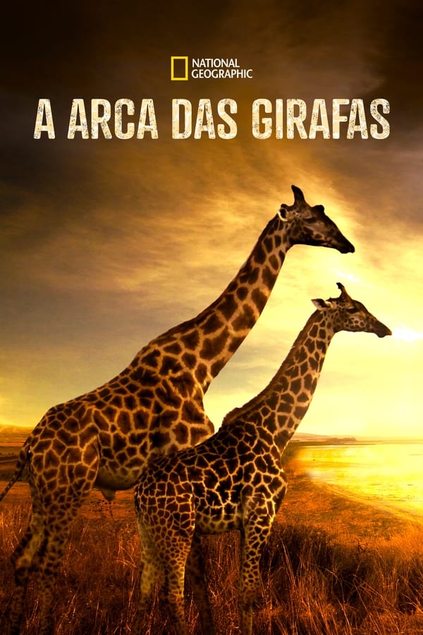 A Arca das Girafas