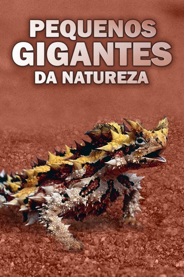 Pequenos Gigantes da Natureza