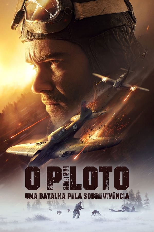 O Piloto – Uma Batalha Pela Sobrevivência