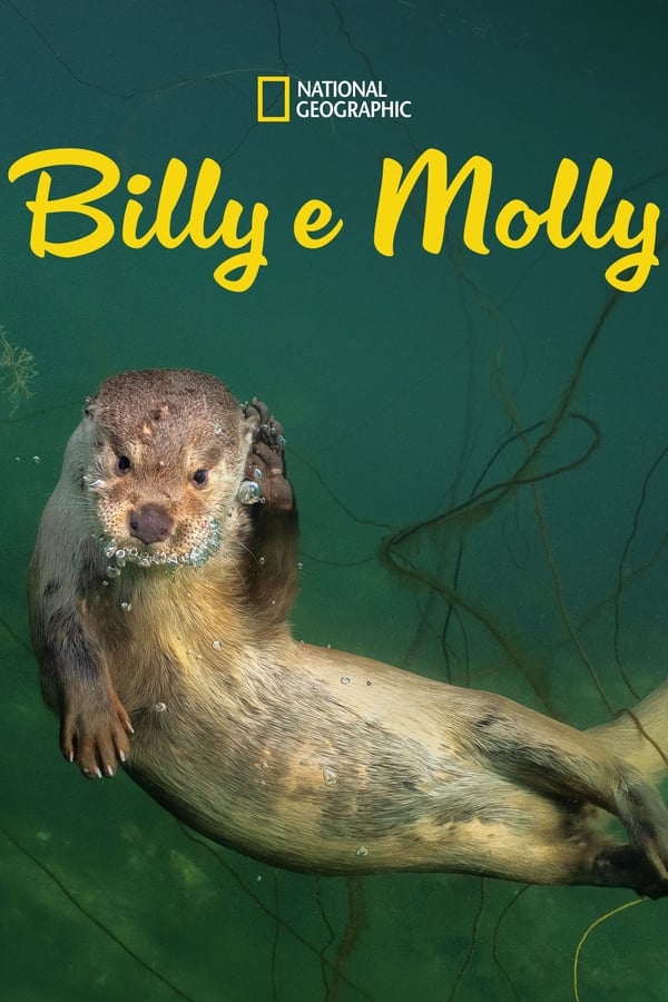 Billy e Molly: Uma História de Amor Diferente