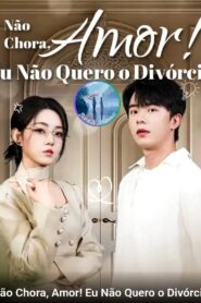 Marido errado, erro consertado Não chora amor ! Eu não quero o divórcio