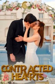 CORAÇÕES CONTRATADOS Contracted Hearts