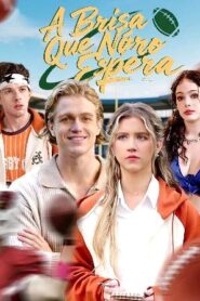 A BRISA QUE NÃO ESPERA