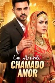 UM ACORDO CHAMADO AMOR