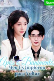 APÓS O BANIMENTO, MEU EX IMPLOROU PARA VOLTAR