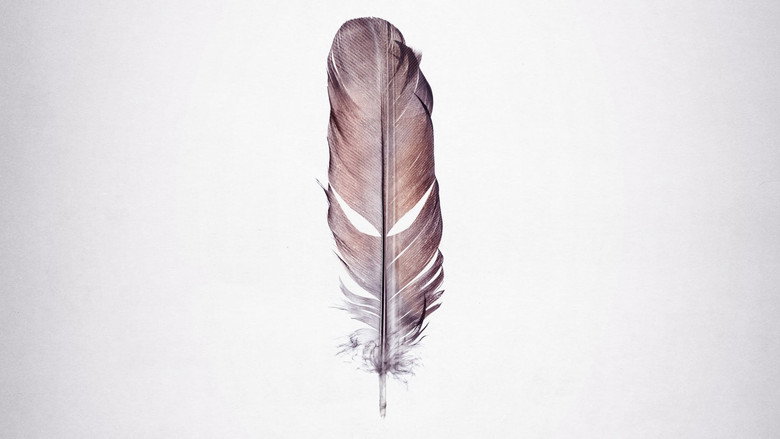 video-section-banner-image