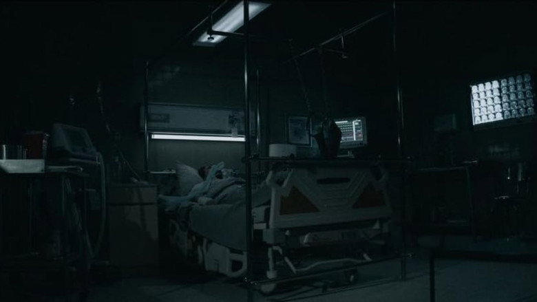 video-section-banner-image