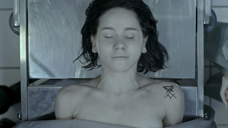 video-section-banner-image