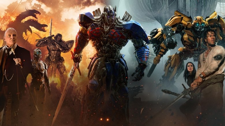 video-section-banner-image