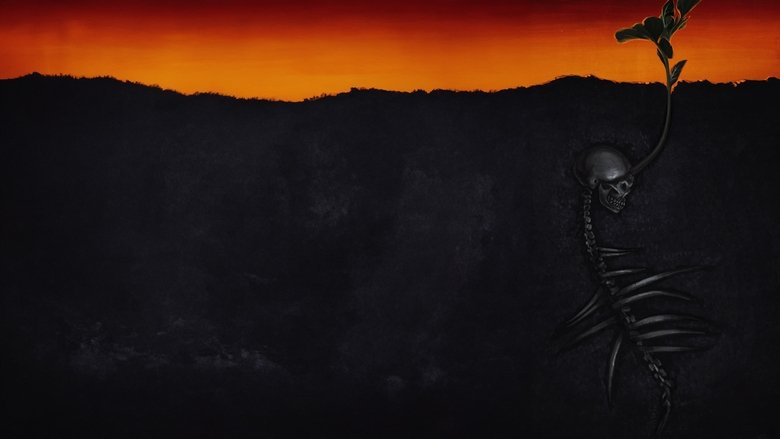 video-section-banner-image