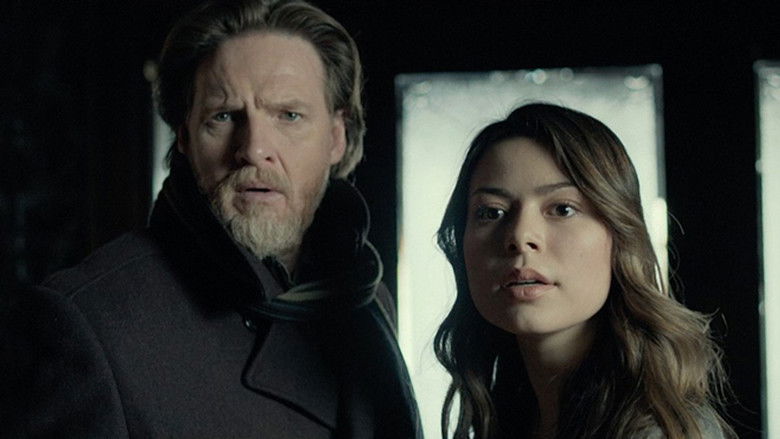 video-section-banner-image