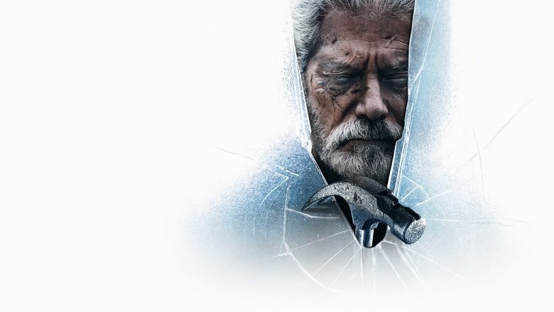 video-section-banner-image