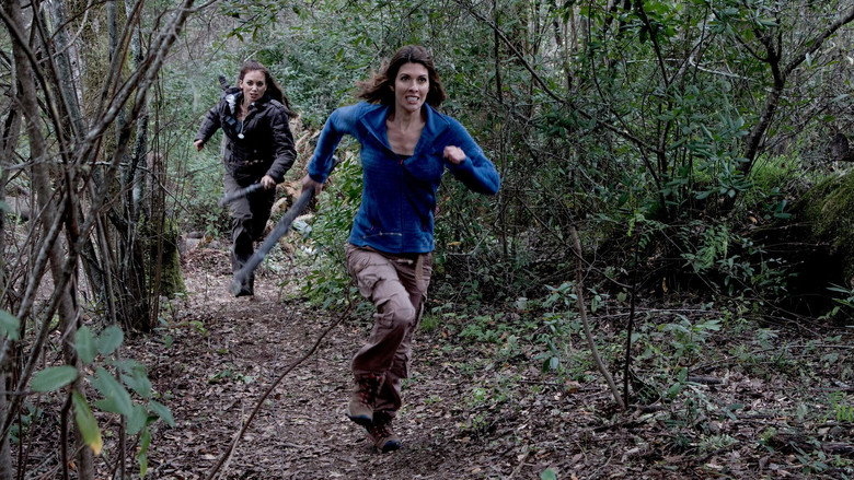 video-section-banner-image