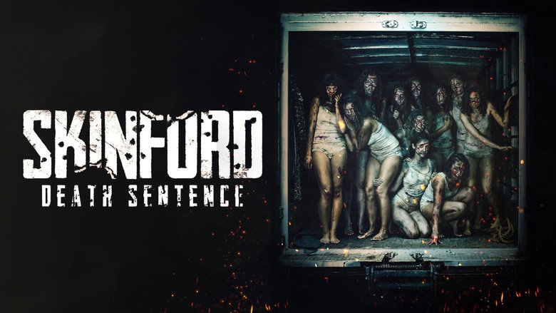 video-section-banner-image