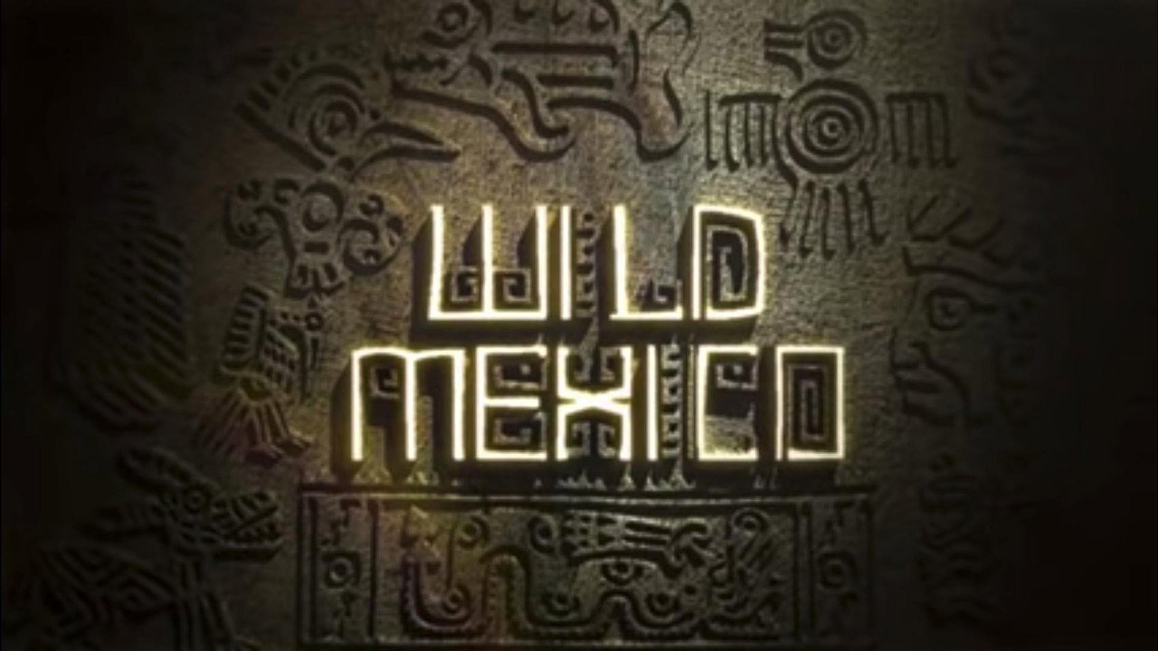 video-section-banner-image