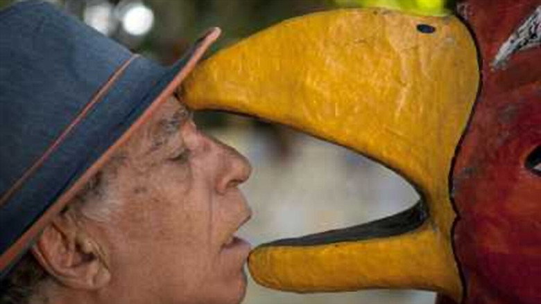 video-section-banner-image