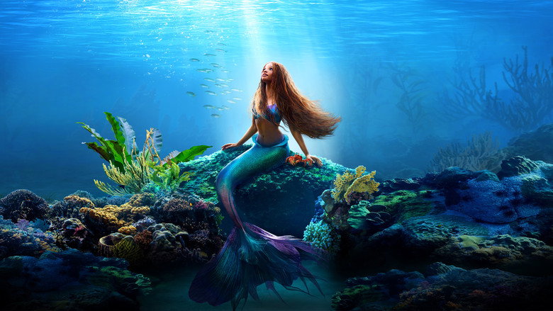 video-section-banner-image