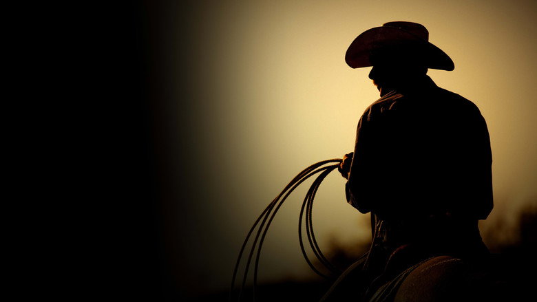 video-section-banner-image