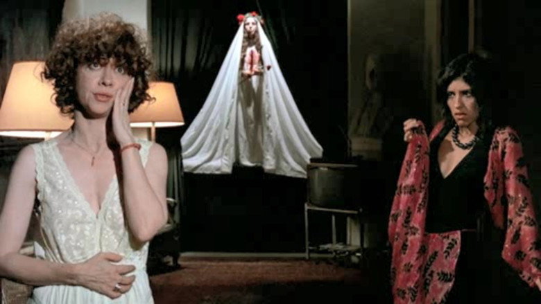 video-section-banner-image