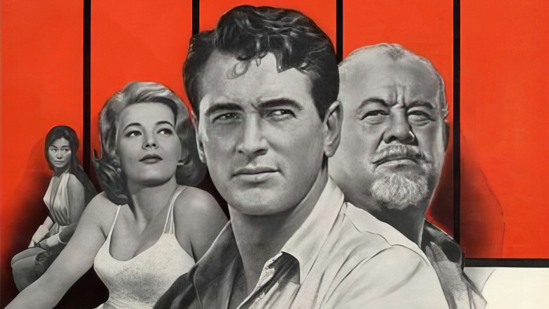 video-section-banner-image