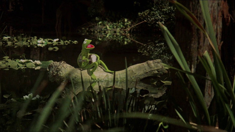 video-section-banner-image