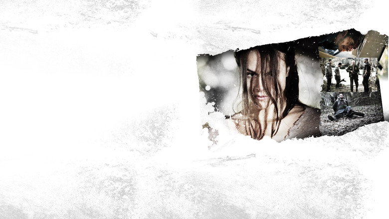video-section-banner-image