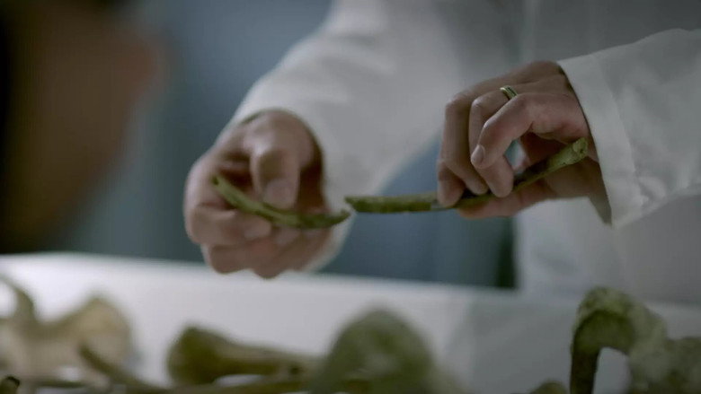 S01E05 - Episódio 5 [LEG]