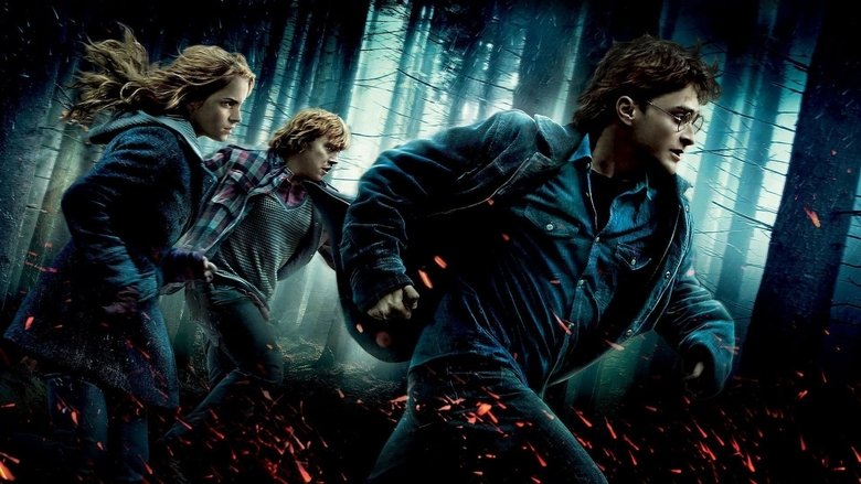 video-section-banner-image