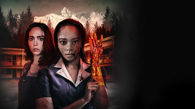 video-section-banner-image