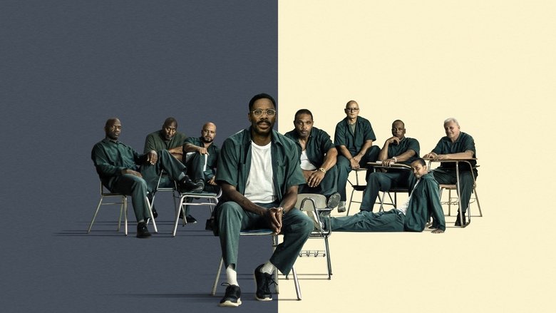 video-section-banner-image