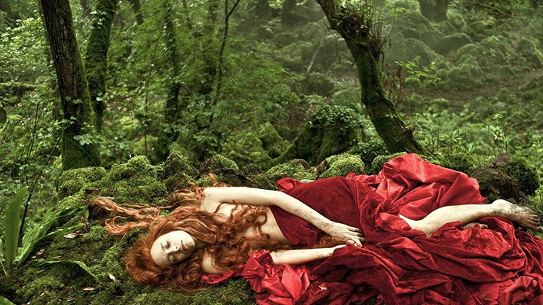 video-section-banner-image