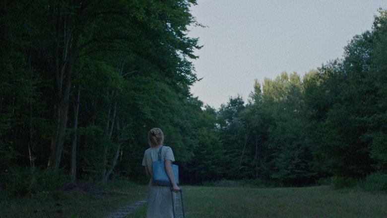 video-section-banner-image