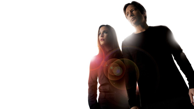 video-section-banner-image