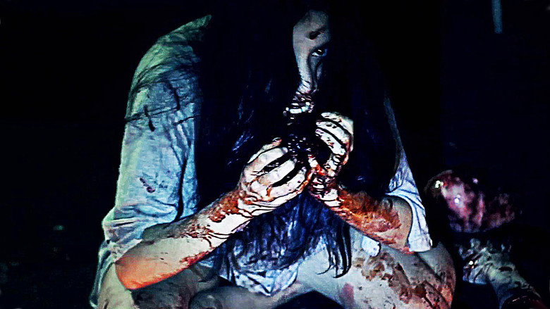 video-section-banner-image