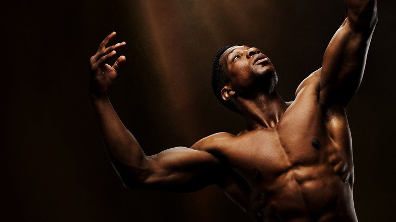 video-section-banner-image