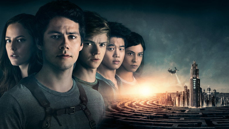 video-section-banner-image