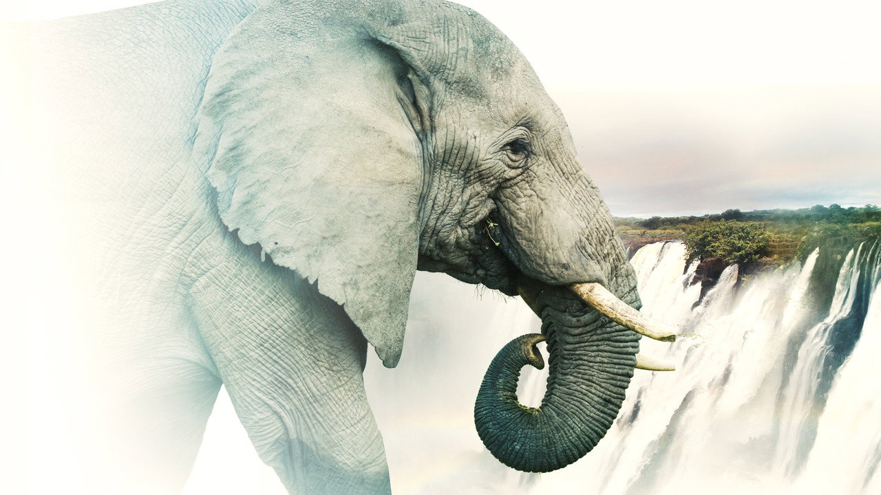 video-section-banner-image