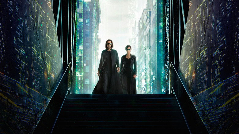 video-section-banner-image