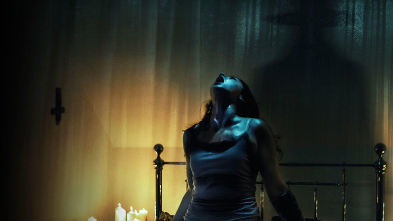 video-section-banner-image