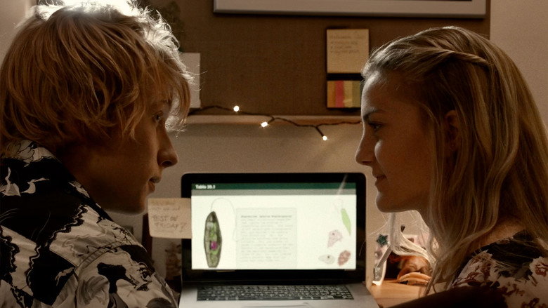 video-section-banner-image
