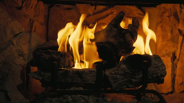 video-section-banner-image
