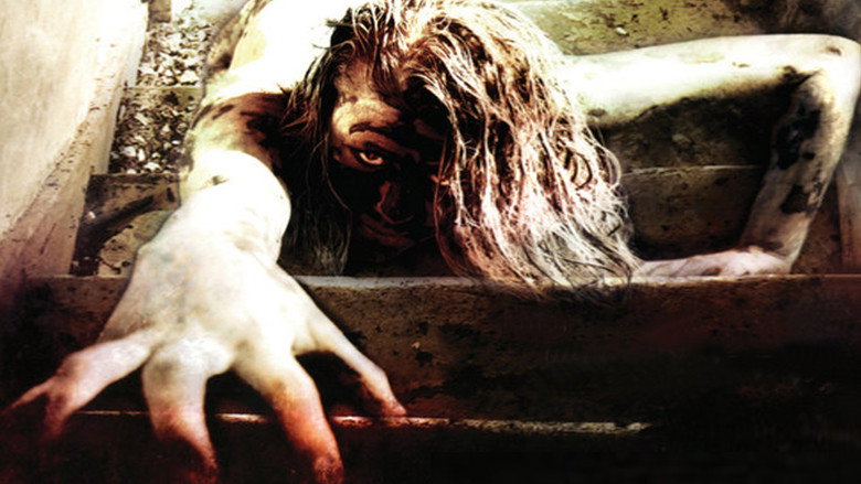 video-section-banner-image