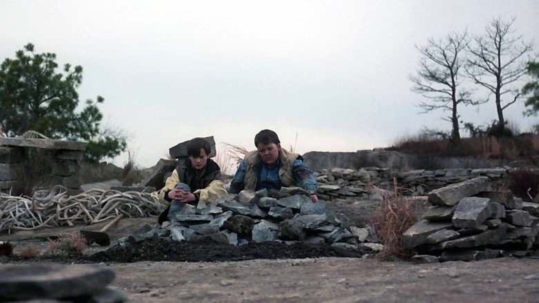video-section-banner-image