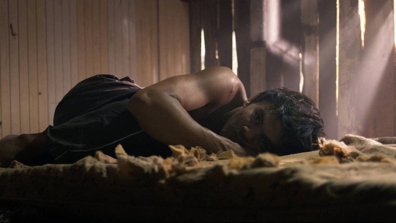 video-section-banner-image