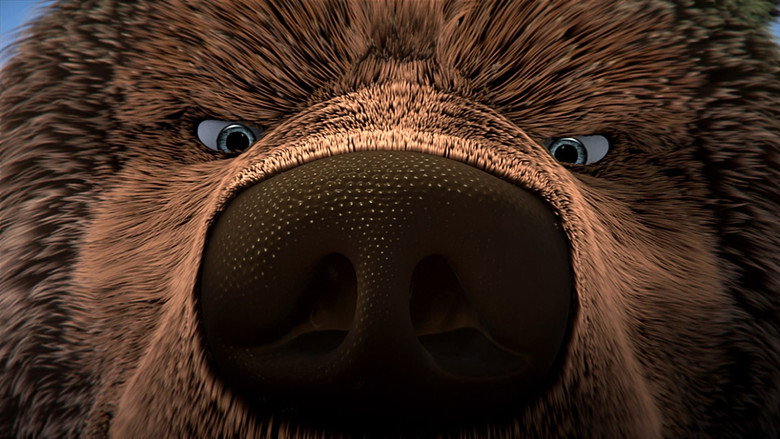 video-section-banner-image