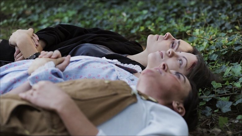 video-section-banner-image