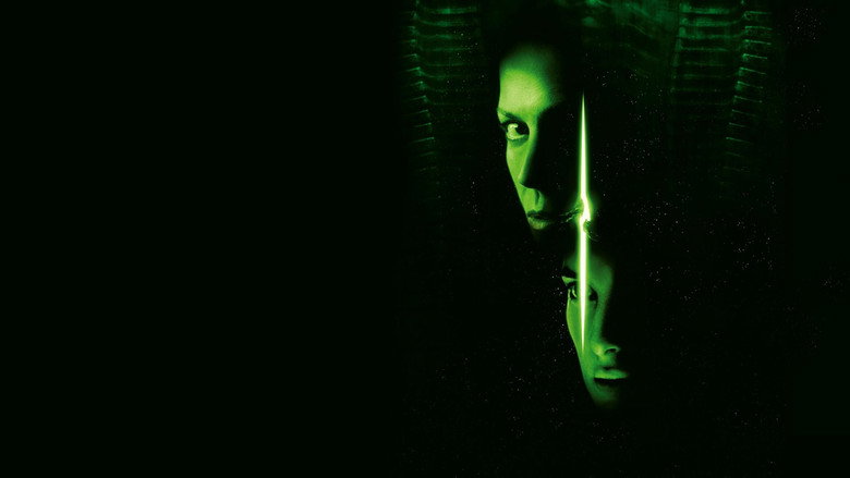 video-section-banner-image