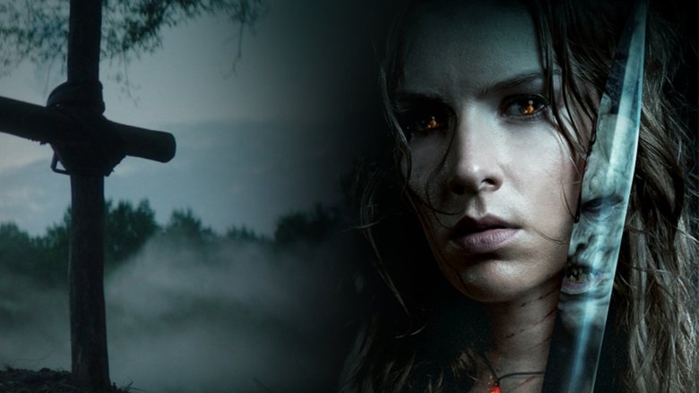 video-section-banner-image