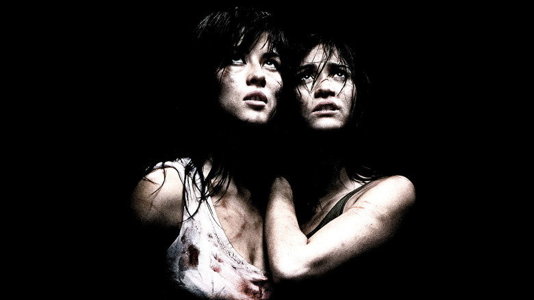 video-section-banner-image