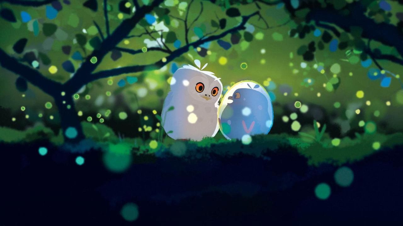 video-section-banner-image
